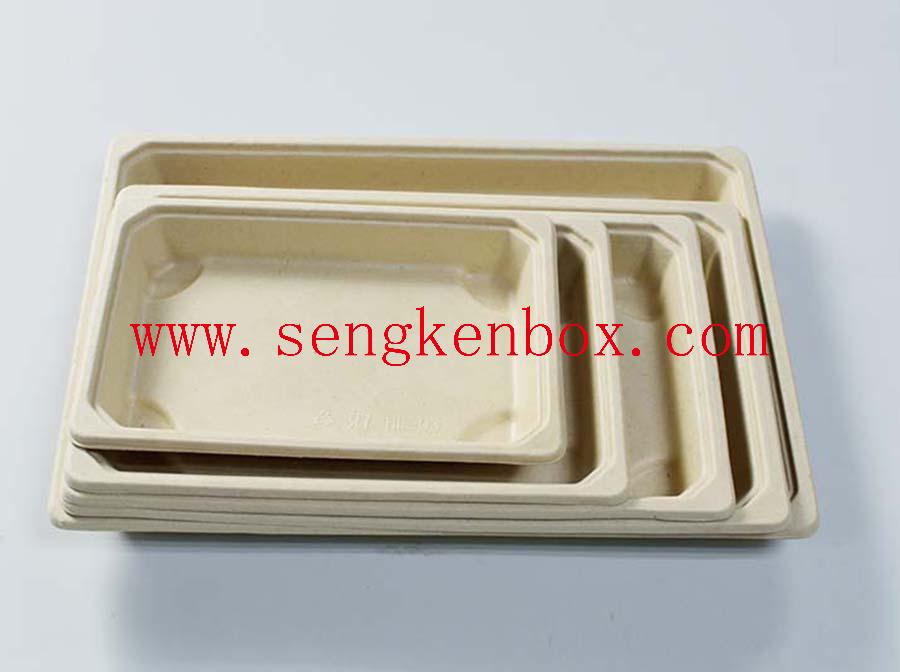 Bento Box With Plastic Cover