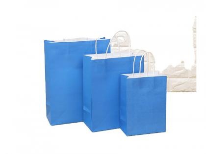 Custom Color Gift Paper Bag